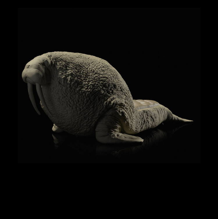 時(shí)尚個(gè)性創(chuàng)意玻璃鋼海獅懶人椅 動(dòng)物休閑椅子 酒店KTV家具沙發(fā)椅