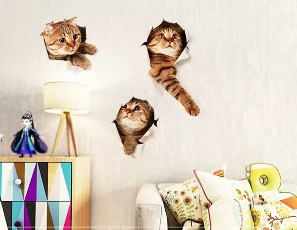 1509072308571892.jpg mmexport1509071707860.jpg